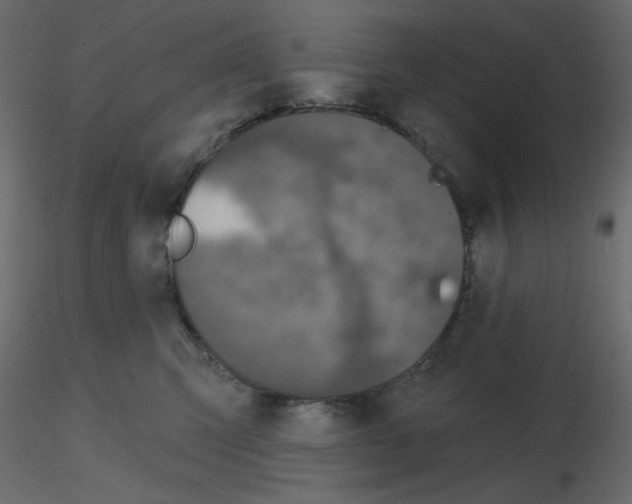 X0000115670423200912241424