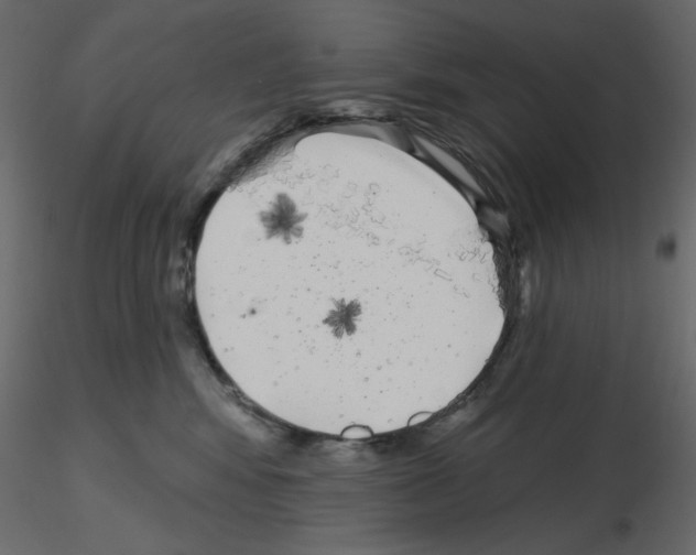 X0000115670424200912241424