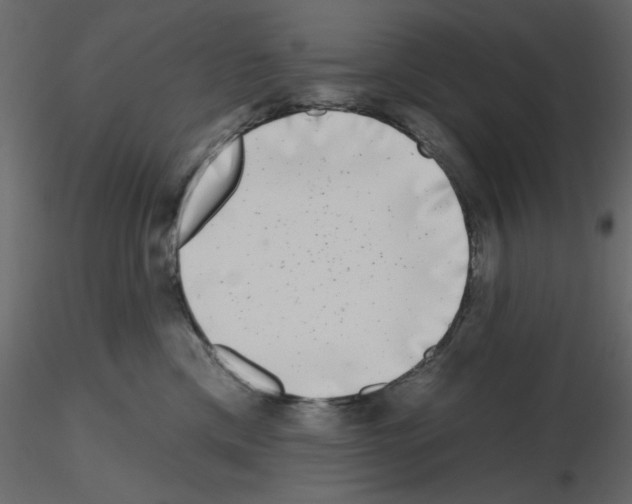 X0000115670425200912241424