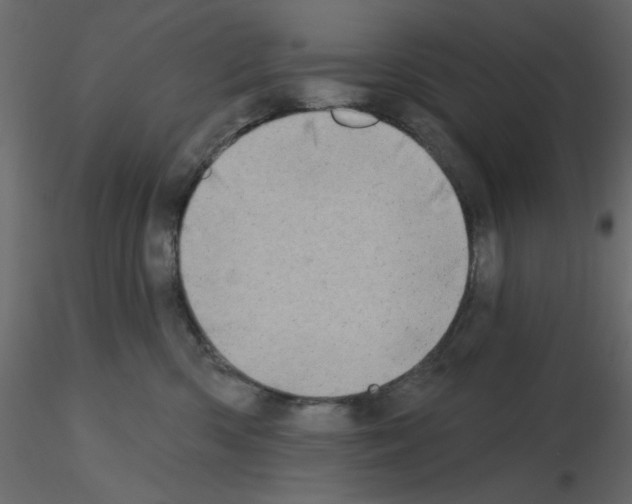 X0000115670426200912241423