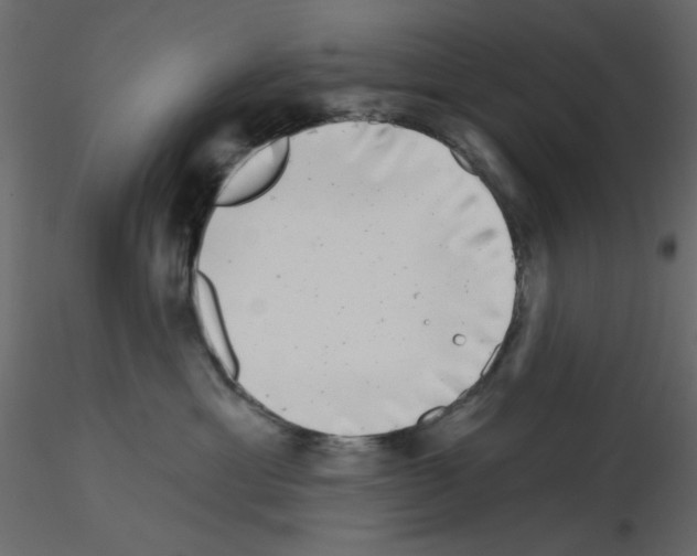 X0000115670429200912241423