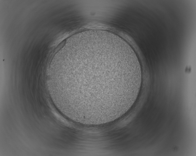 X0000115670433200912241423