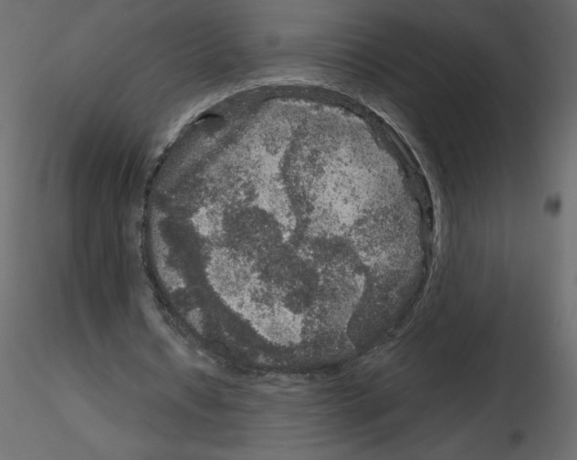 X0000115670434200912241423