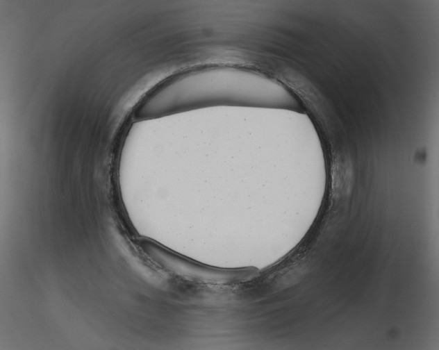 X0000115670436200912241423