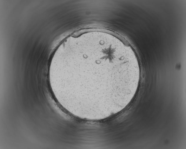 X0000115670437200912241423