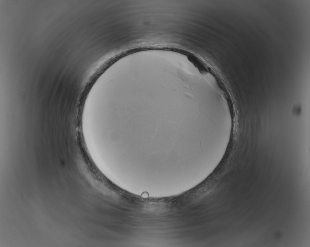 X0000115670438200912241423