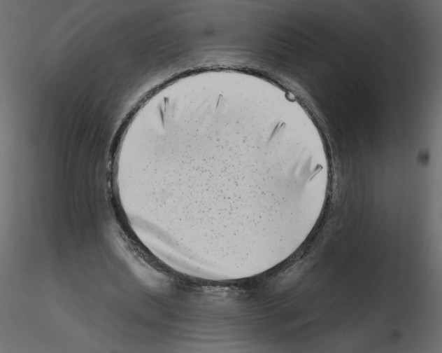 X0000115670439200912241423