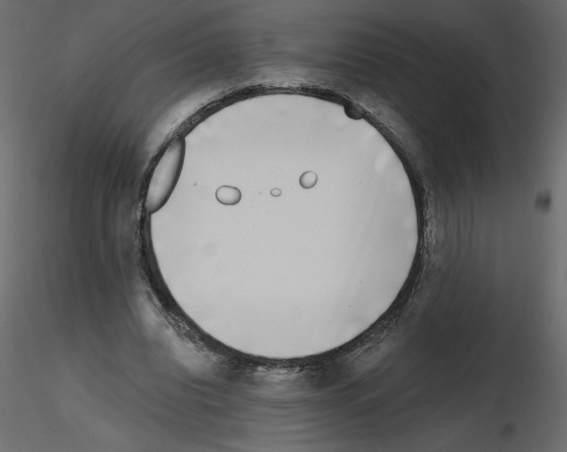 X0000115670440200912241423