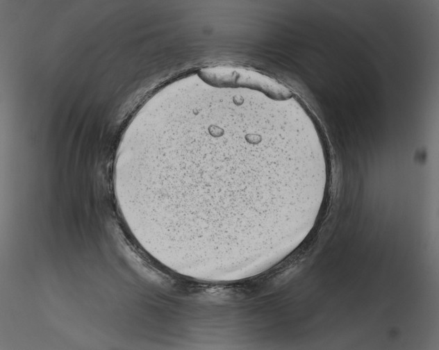 X0000115670441200912241423