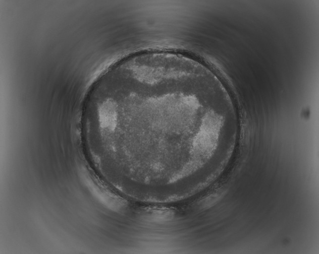 X0000115670443200912241423