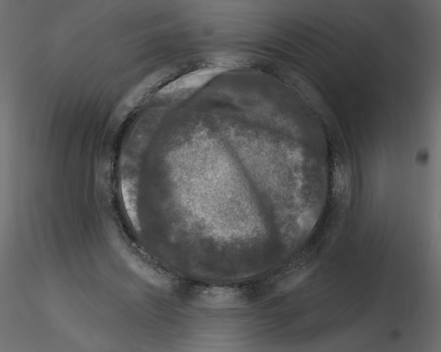 X0000115670444200912241423