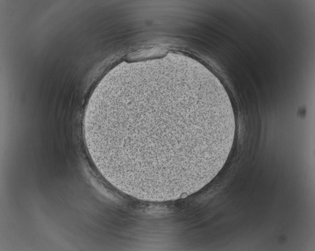 X0000115670445200912241423