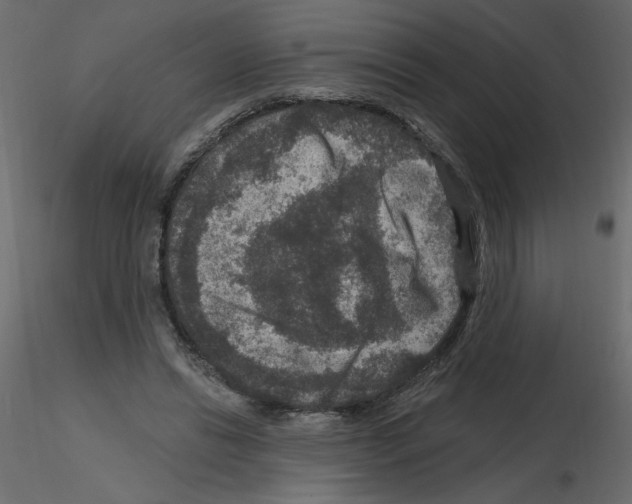 X0000115670446200912241423