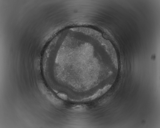 X0000115670447200912241423