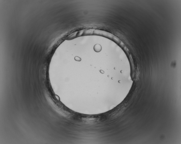 X0000115670448200912241423