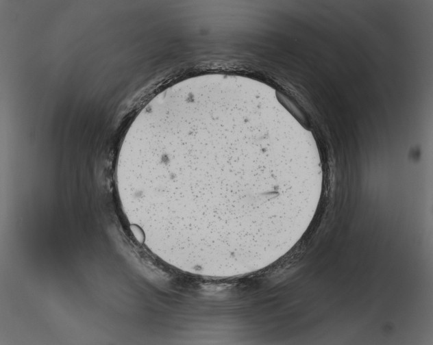 X0000115670450200912241423