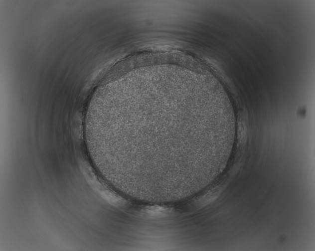 X0000115670453200912241423