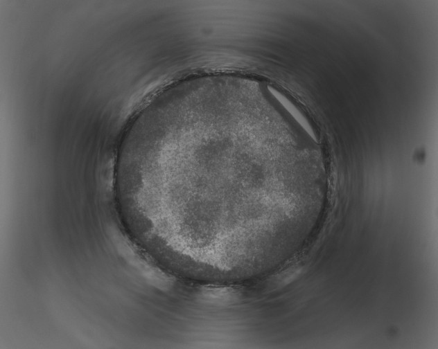 X0000115670454200912241423