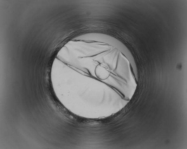 X0000115670456200912241423