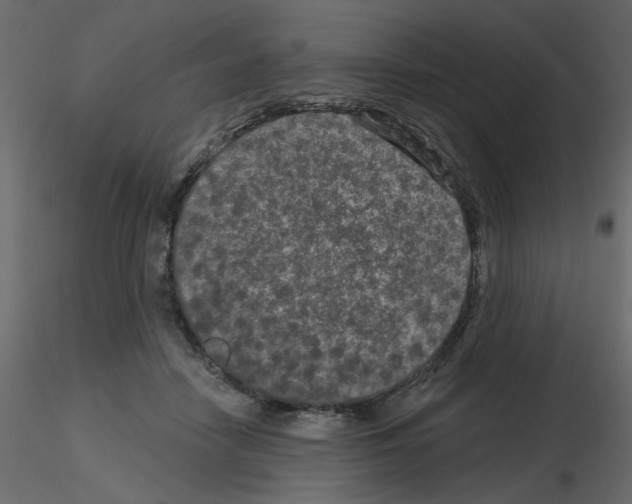 X0000115670458200912241423