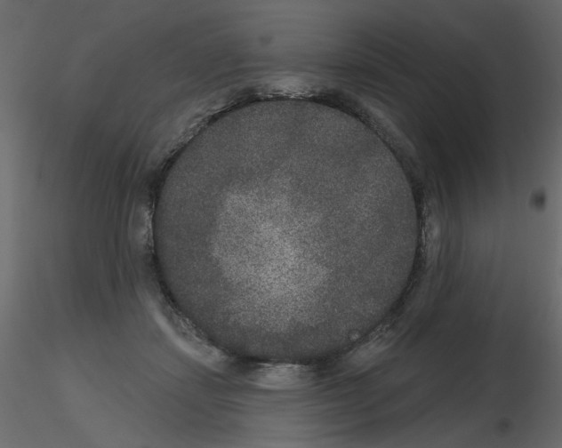 X0000115670459200912241423