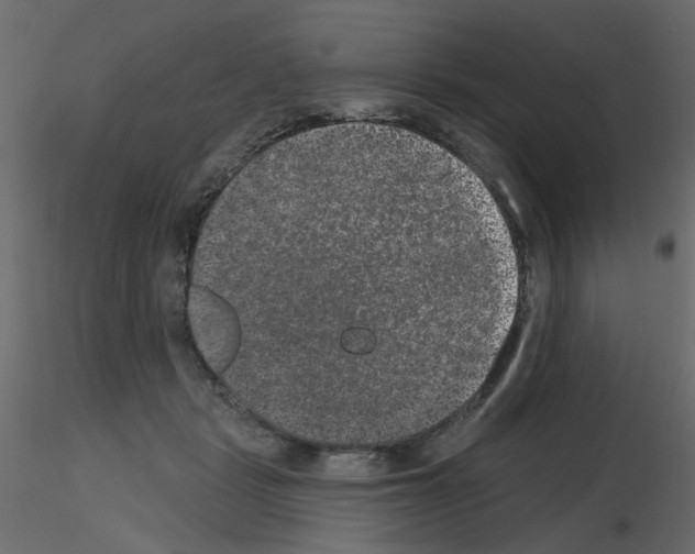 X0000115670461200912241423