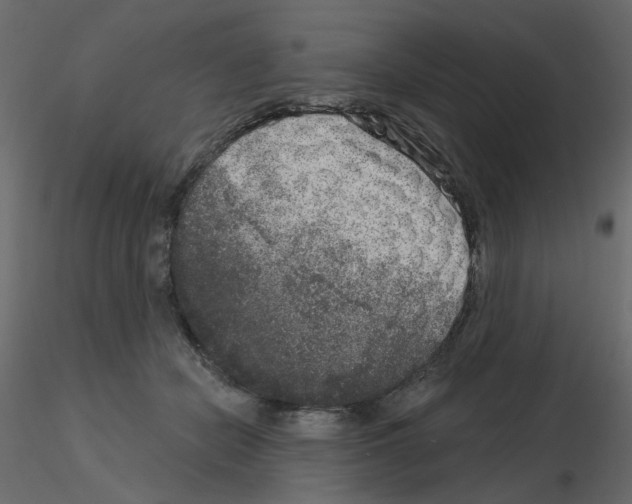 X0000115670462200912241423