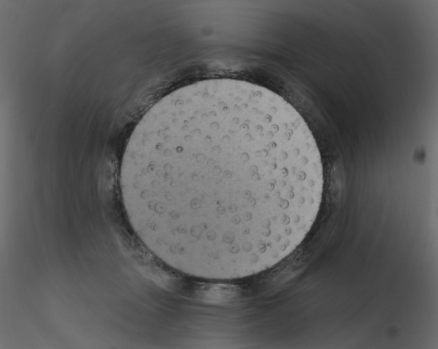 X0000115670463200912241423