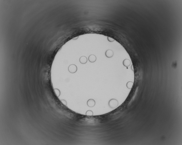 X0000115670464200912241423