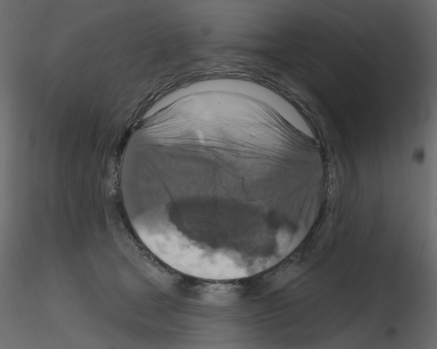 X0000115670465200912241423