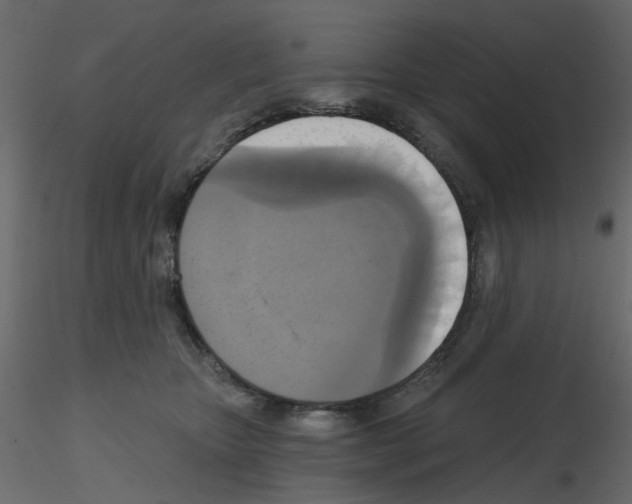 X0000115670467200912241423