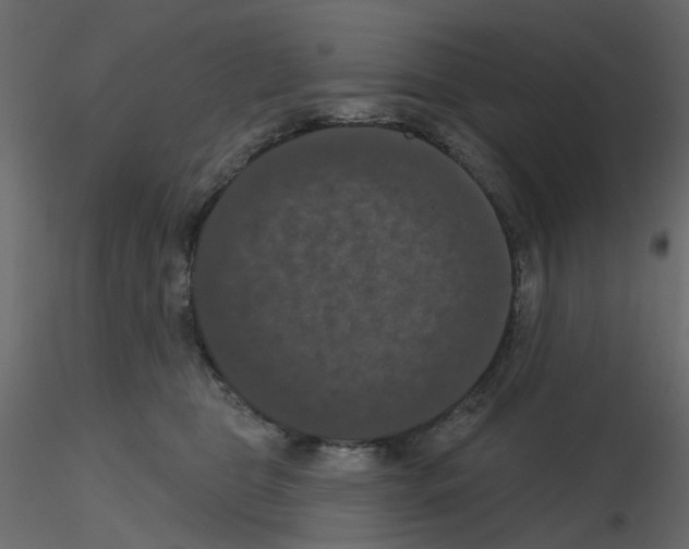 X0000115670469200912241423