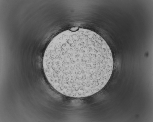 X0000115670470200912241423