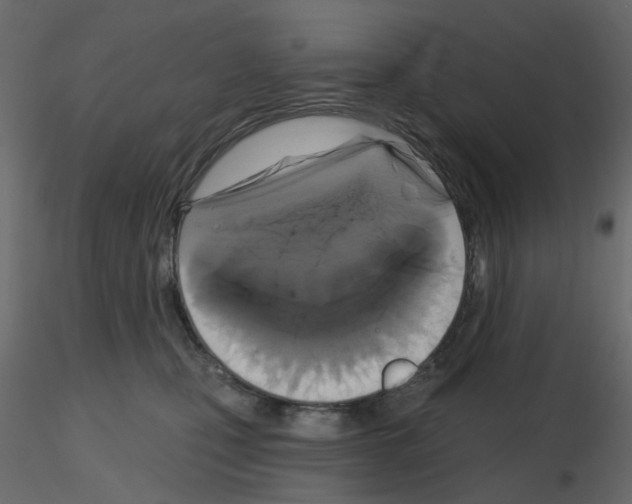 X0000115670471200912241423