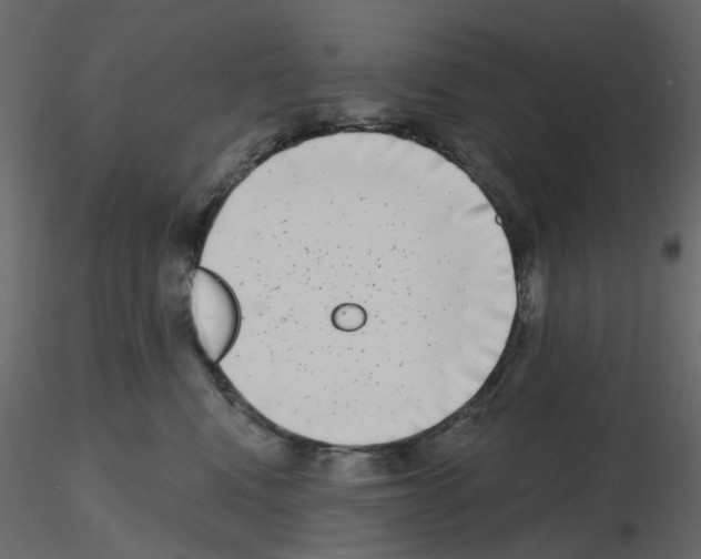 X0000115670472200912241423