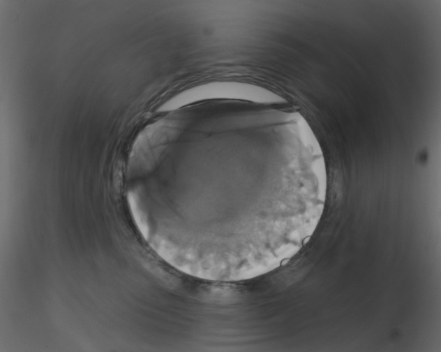 X0000115670475200912241423