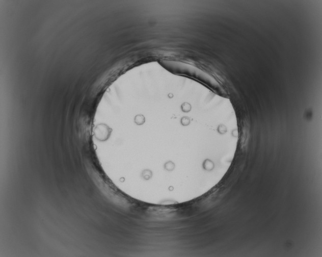 X0000115670476200912241423