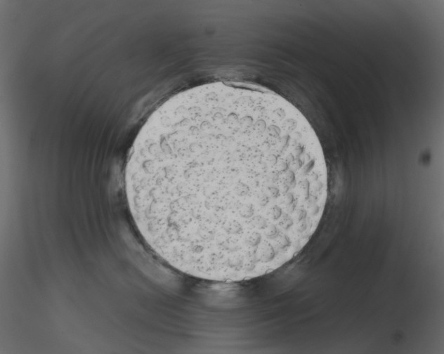 X0000115670478200912241423