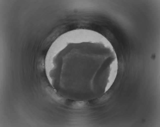 X0000115670479200912241423