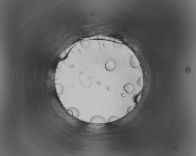 X0000115670480200912241423