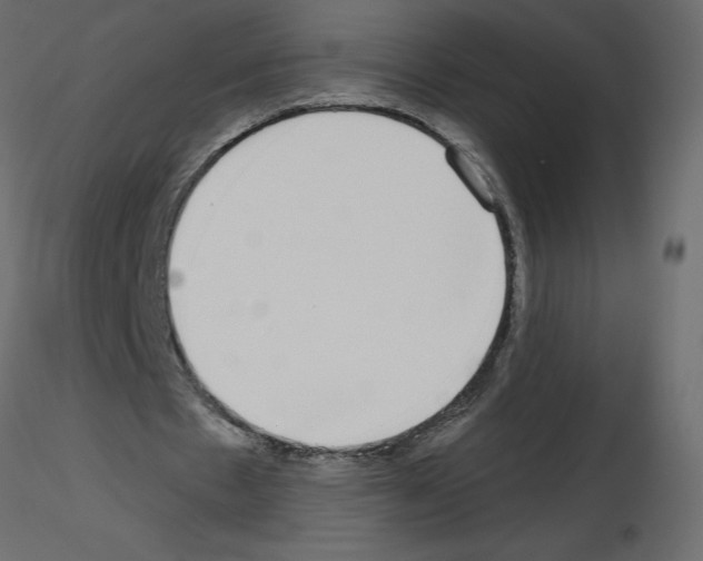 X0000115670481200912241423