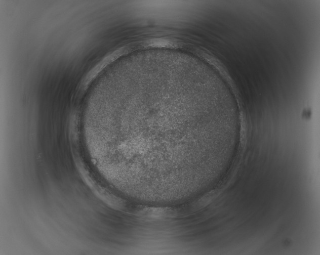 X0000115670482200912241423