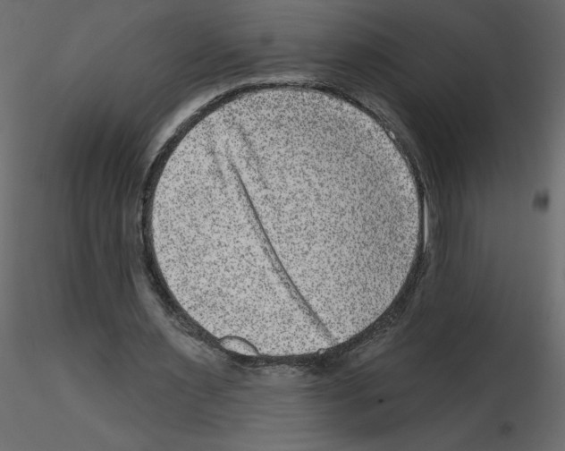 X0000115670483200912241423