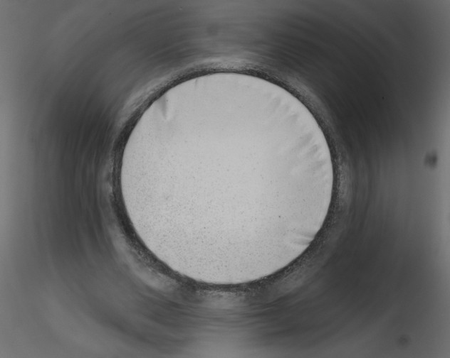 X0000115670486200912241423