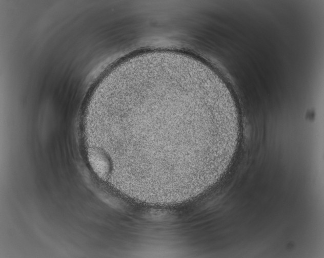 X0000115670487200912241423