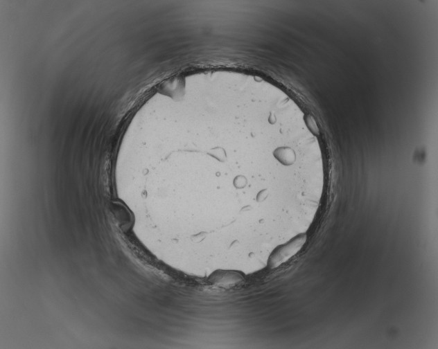 X0000115670489200912241423