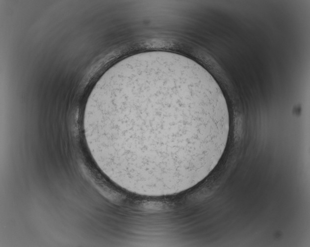 X0000115670490200912241423