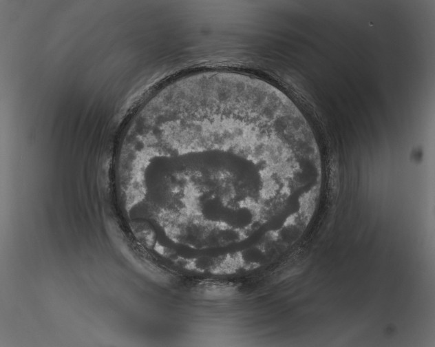 X0000115670491200912241423