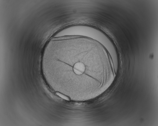 X0000115670493200912241423