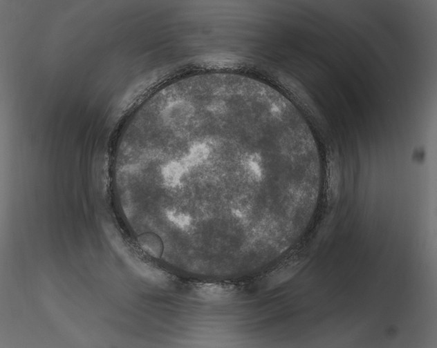 X0000115670494200912241423